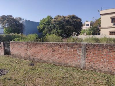 5 katha land for sale in Matigara siligu...