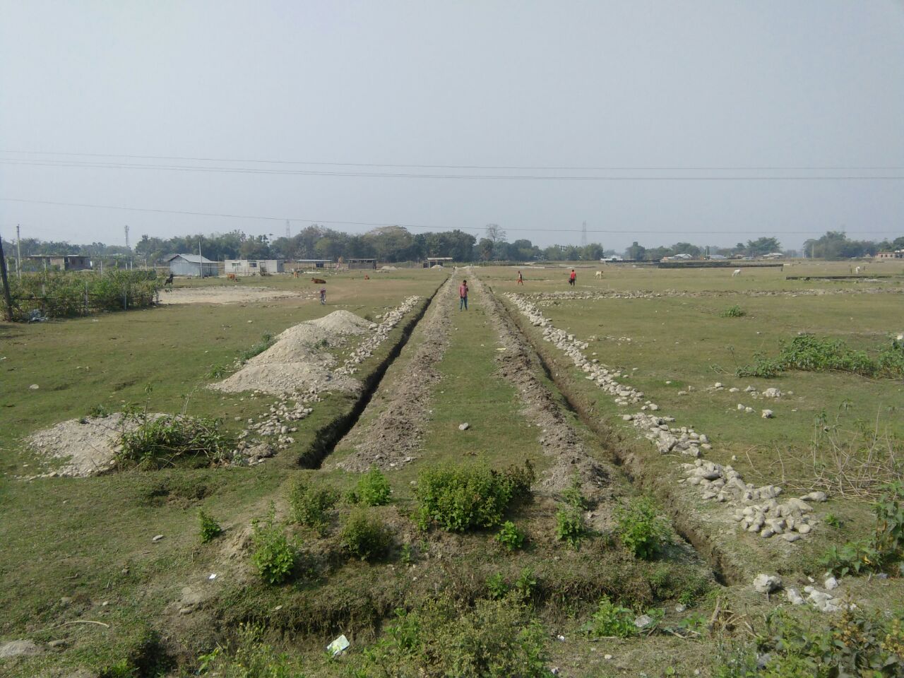 Residential plots